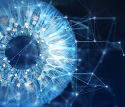 6G: From the Internet of Things to the Internet of Intelligence